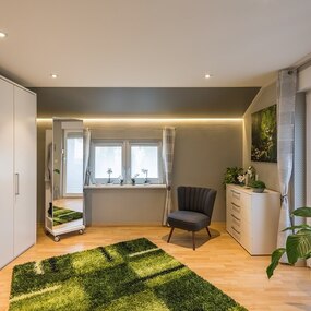 Modernes Schlafzimmer mit großem Kleiderschrank, Teppich und grünen Zimmerpflanzen.